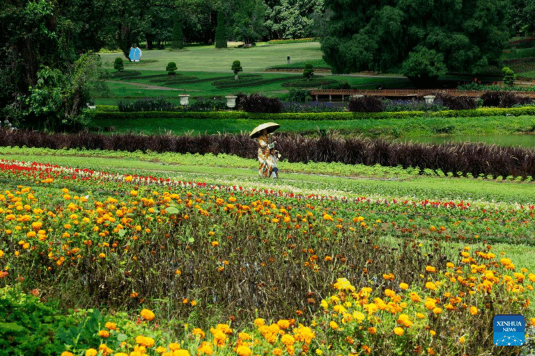 National Kandawgyi Gardens in Myanmar1