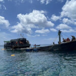 Phuket park assesses