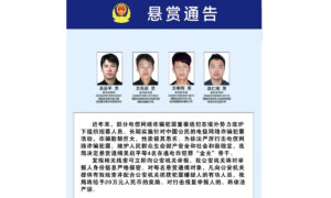 China issues wanted notices for 100 telecom fraud suspects