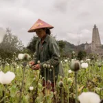 How Myanmar Became Global Crime Capital